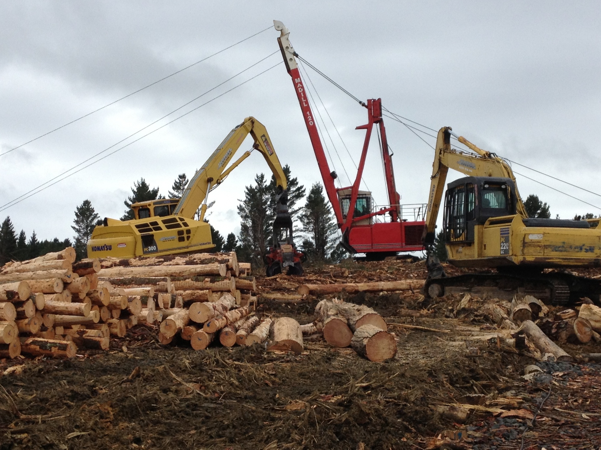 NZ Forestry Services Forest Harvesting, Marketing and Sales